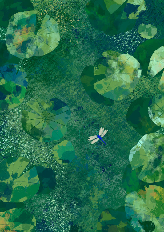 After a spell of rain