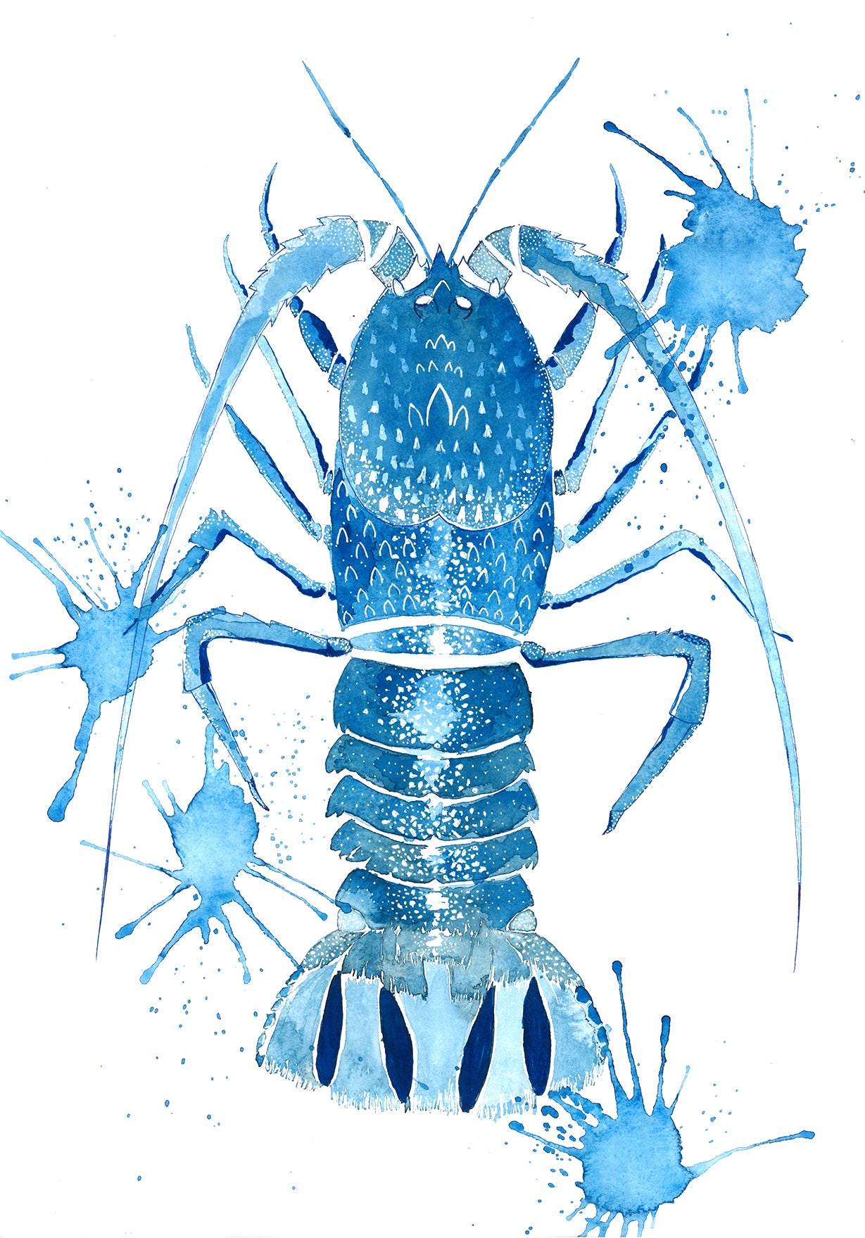 Crayfish | Sea creatures in Indigo