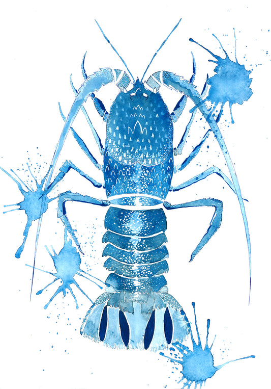 Crayfish | Sea creatures in Indigo