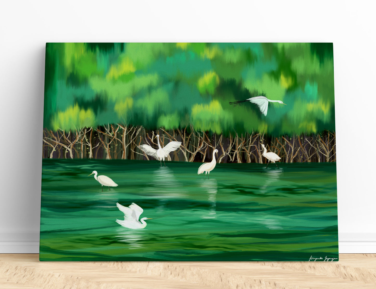 Magic in the mangroves