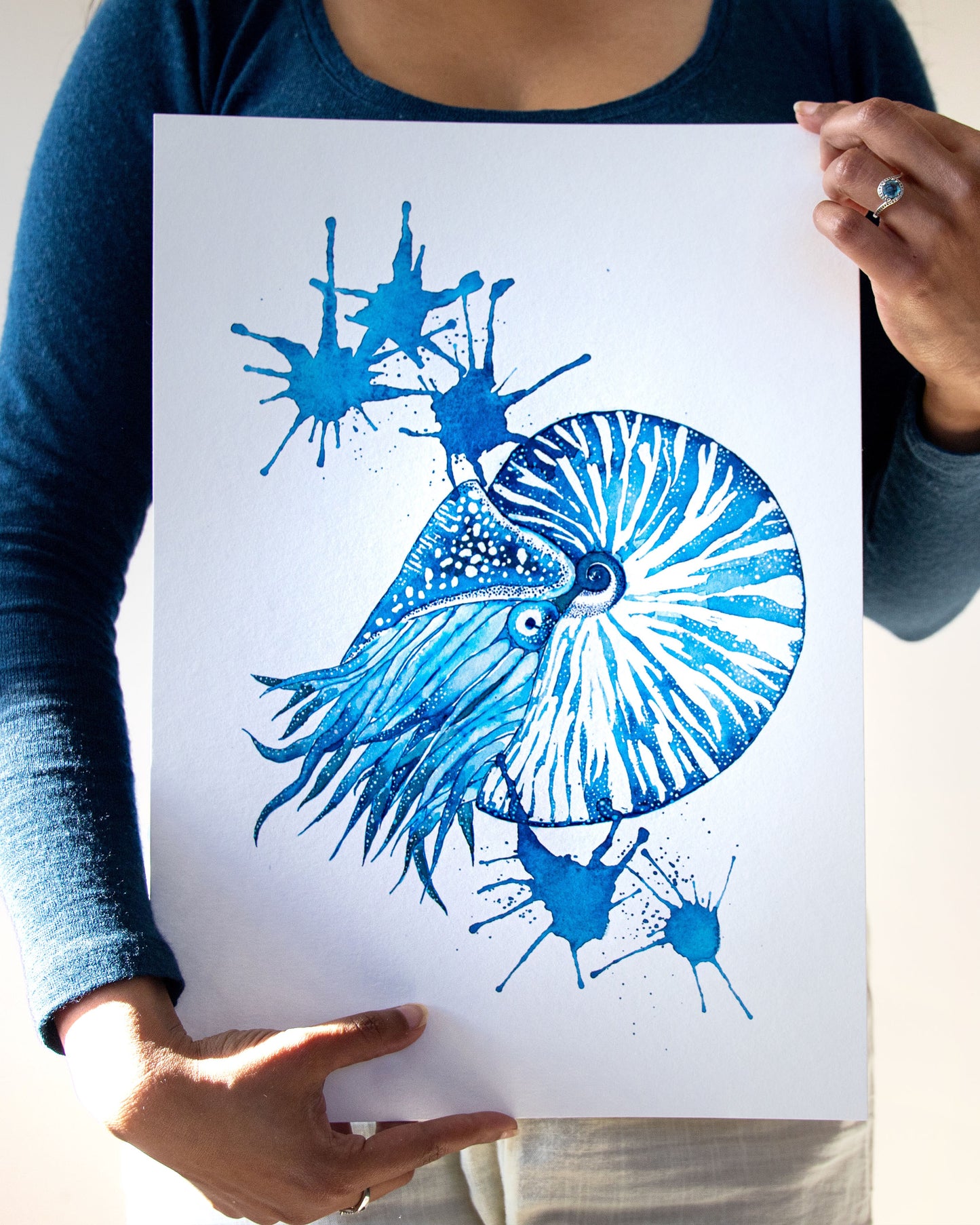 Nautilus | Sea creatures in Indigo