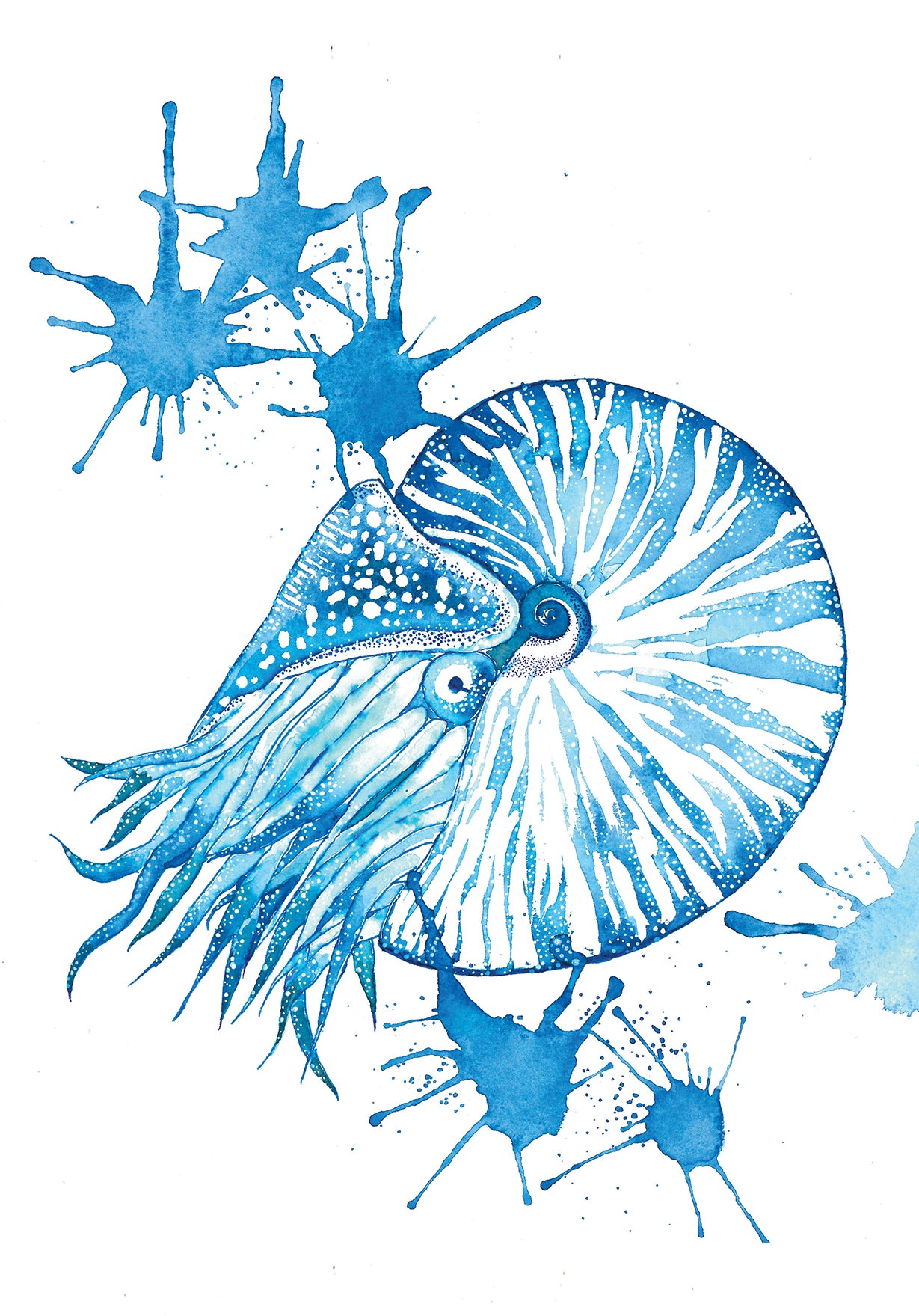 Nautilus | Sea creatures in Indigo